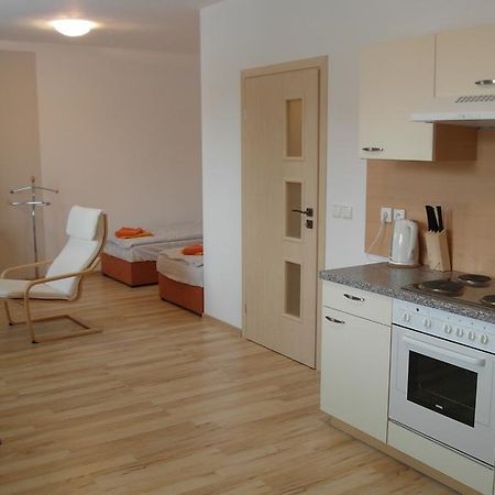 Ernesta Club Lipno Apartment ลิปโนนัดเวิลตาวู ภายนอก รูปภาพ