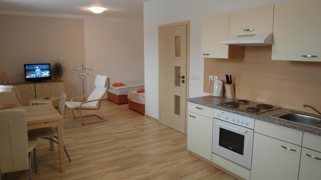 Ernesta Club Lipno Apartment ลิปโนนัดเวิลตาวู ภายนอก รูปภาพ